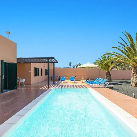 Palm View By