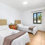 Palm View By